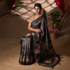 The Midnight Safari - Zarna Silk Saree