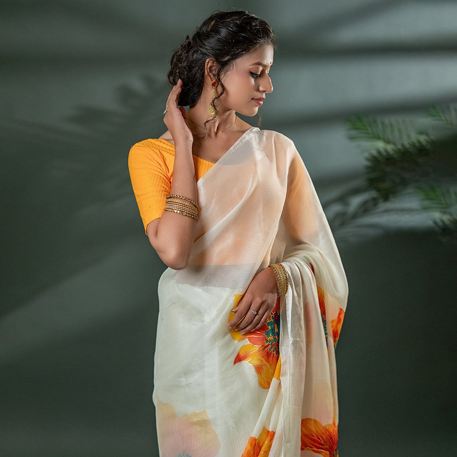 The Ambar Chaya - Organza Saree