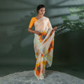 The Ambar Chaya - Organza Saree