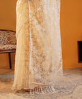 Snow Pearl - Embroidered Net Saree