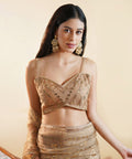 Champagne Gold - Sequins Embroidered Net Saree