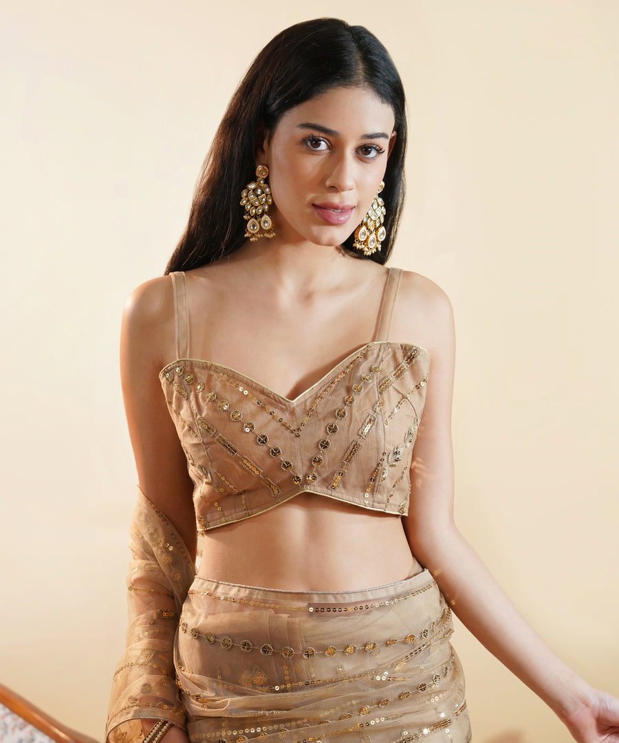 Champagne Gold - Sequins Embroidered Net Saree