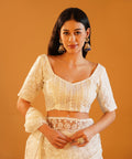 Snow Pearl - Embroidered Net Saree