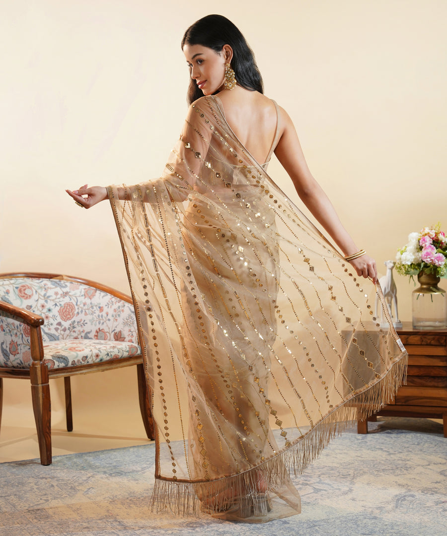 Champagne Gold - Sequins Embroidered Net Saree
