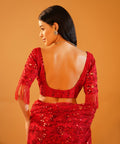 Scarlet Sparkle - Embroidered Net Saree