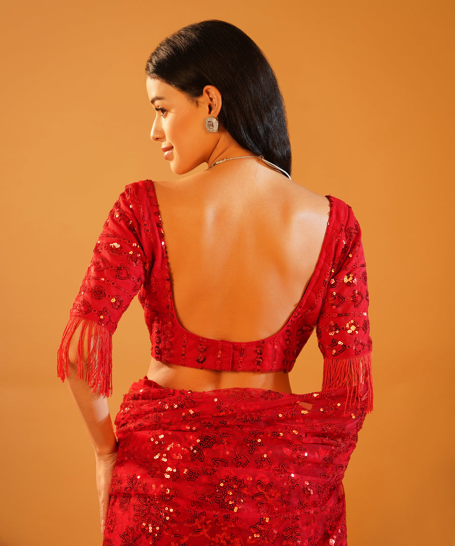 Scarlet Sparkle - Embroidered Net Saree