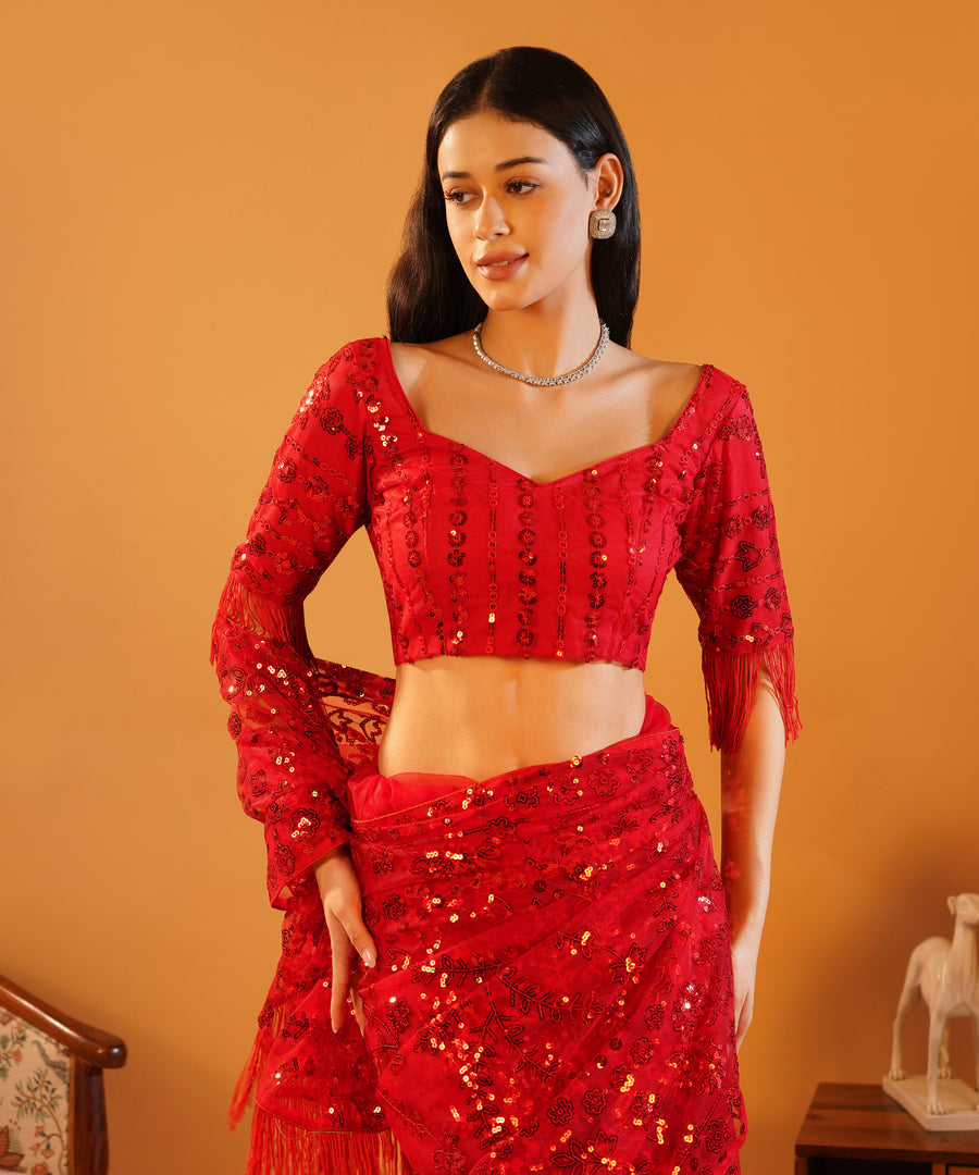 Scarlet Sparkle - Embroidered Net Saree